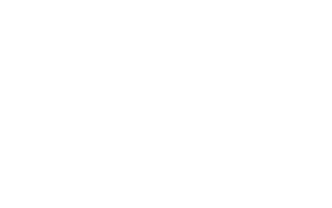 Logo Social PMI bianco piccolo